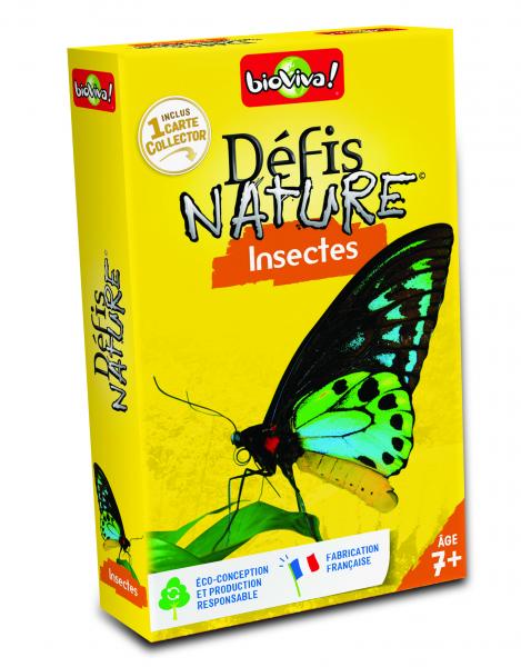 DEFIS NATURE - INSECTES St Barthelemy